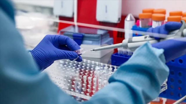 Türkiye'de bir ilke imza atıldı: 156 milyonluk DNA testi