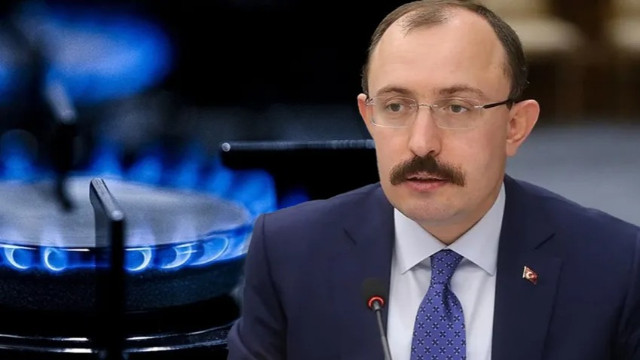 Mehmet Muş'tan doğal gaz zammı açıklaması