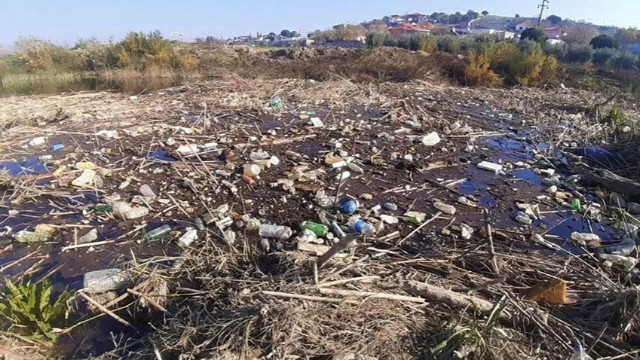 Büyük Menderes Nehri çöplüğe döndü