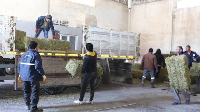 Afet bölgesindeki hayvan yetiştiricilerine yem desteği!