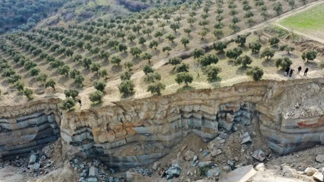Deprem tarımı da vurdu: Tarım alanlarının yüzde 16'sı bölgede