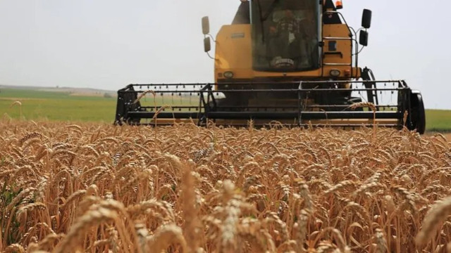 Rusya tarım savaşında galip geliyor! Tahılda payı arttı