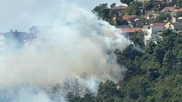 Maltepe'de orman yangını: Alevler yerleşim yerlerine yaklaşıyor