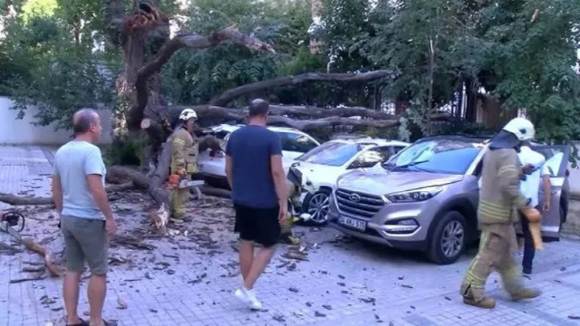 Kadıköy'de aracın üstüne devrilen ağaç 51 daireyi icralık etti