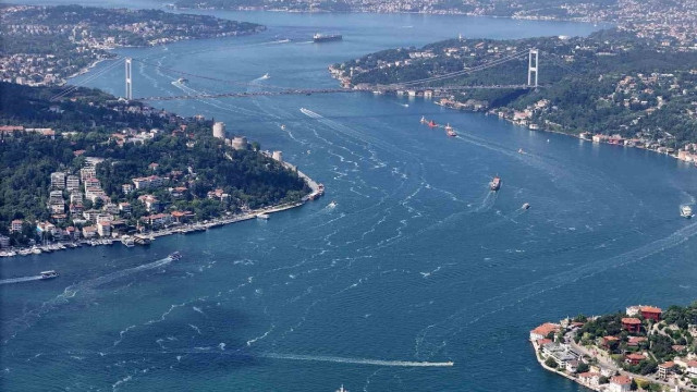 Marmara Denizi'nde kabus yeniden: İstanbul’da müsilaj uyanıyor