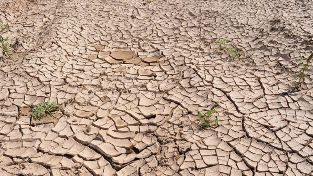 Kuraklık 2050 yılına kadar 1 milyar kişiyi göç ettirebilir