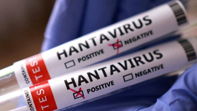 DSÖ yanıtladı! Hantavirüs yeni bir pandemi mi?