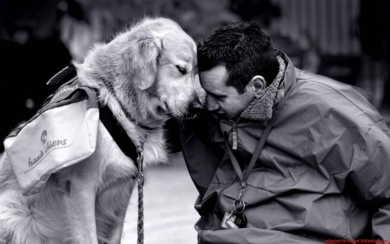 Köpekler insanlarla iletişim kurmak için yüz ifadelerini kullanıyorlar - Sayfa 1