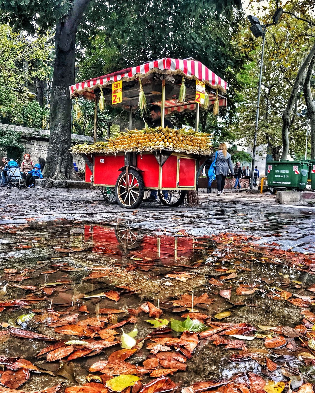 İstanbul'da yağmur manzaraları - Sayfa 9