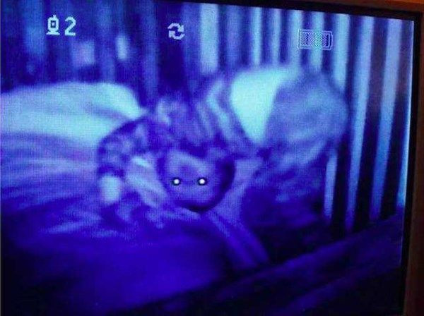 Bebek kamerasına takılan ürkütücü görüntüler - Sayfa 1