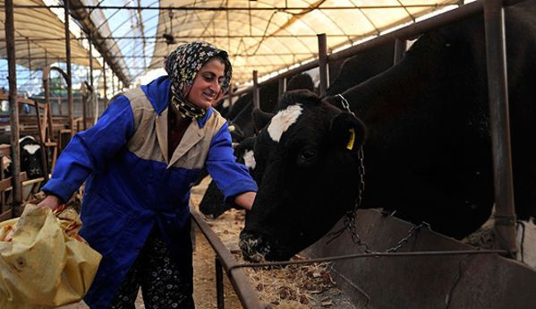 4 bilezikle başladı şimdi 1 milyon lira değerinde ürün sahibi - Sayfa 4