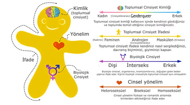 Almanya üçüncü cinsiyeti tanıyan ilk Avrupa ülkesi oldu - Sayfa 9