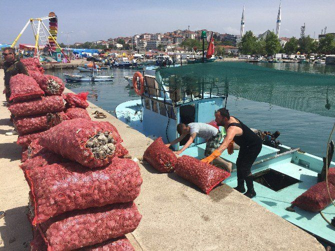 Bu işi yapanlar milyon dolarlar kazanıyor - Sayfa 12