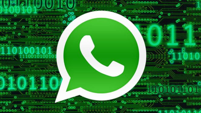 iPad’e WhatsApp geliyor - Sayfa 14