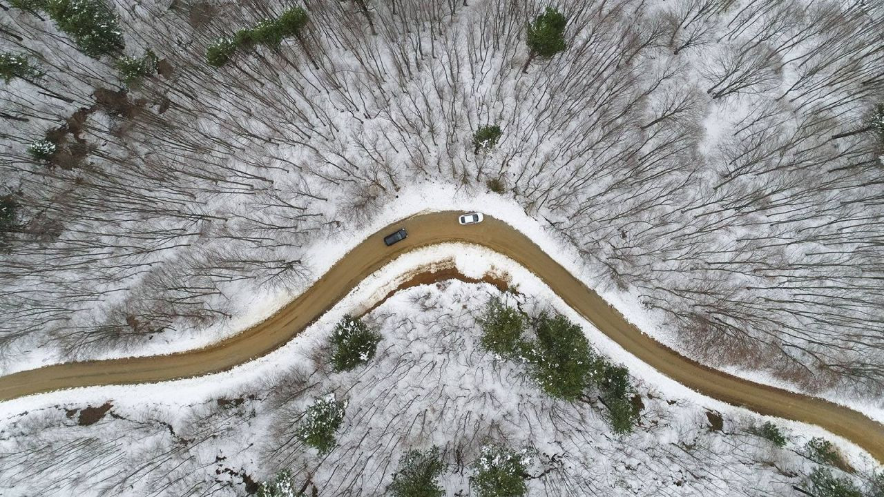 Anadolu Ajansı, 2017 yılının yaşam fotoğraflarını seçti - Sayfa 5