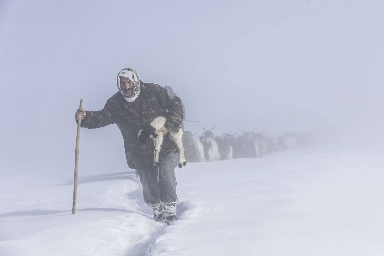 Anadolu Ajansı, 2017 yılının yaşam fotoğraflarını seçti - Sayfa 12