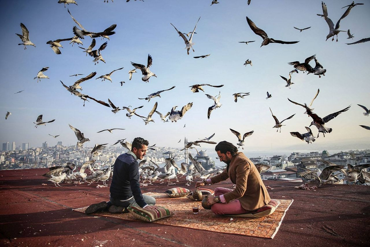 Anadolu Ajansı, 2017 yılının yaşam fotoğraflarını seçti - Sayfa 22