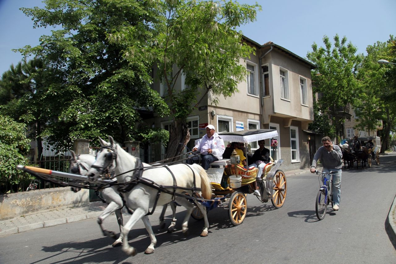 Adalar karantina altında - Sayfa 10