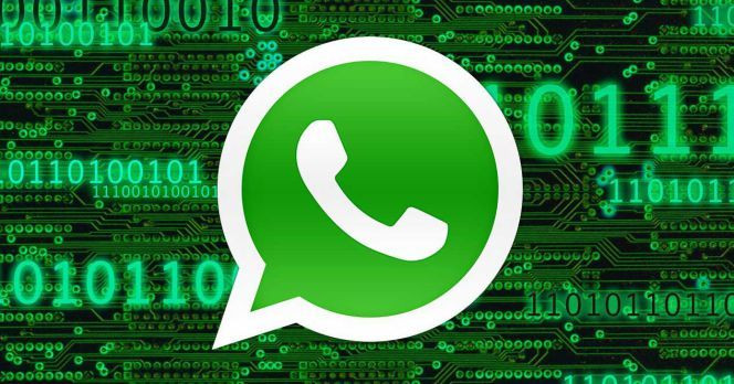 WhatsApp yeni bir özelliği test ediyor - Sayfa 1
