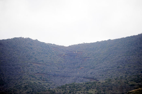 Fotoğraflarla Afrin'de son durum - Sayfa 14