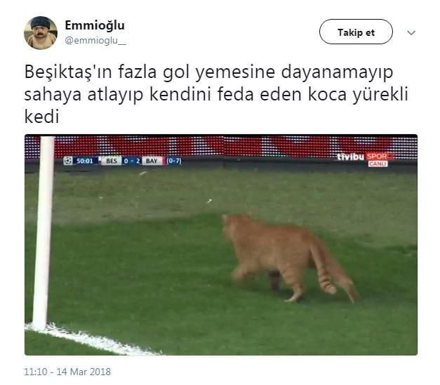 Beşiktaş-Bayern Münih maçında sahaya giren kedi - Sayfa 9