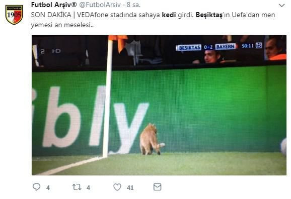 Beşiktaş-Bayern Münih maçında sahaya giren kedi - Sayfa 10