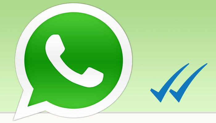 WhatsApp’ta yeni özellik! Grup görüntülü görüşme dönemi - Sayfa 10