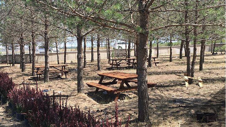 Sevdiklerinizle güzel zaman geçirebileceğiniz Erzurum piknik alanları