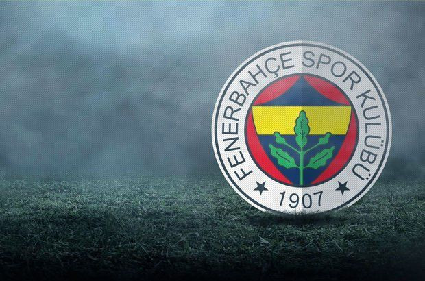 Fernandao'dan sonra Fenerbahçe’de bir ayrılık daha - Sayfa 4