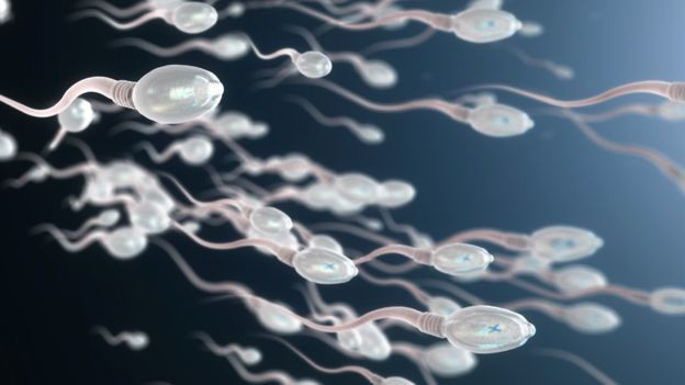 Kabuklu yemiş sperm kalitesini arttırıyor - Sayfa 7