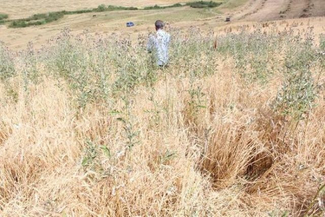 Leyla'nın cinayetinde günler sonra şaşırtan gelişme! - Sayfa 6