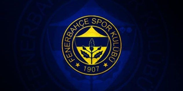 Fenerbahçe üç transferini duyurdu - Sayfa 2