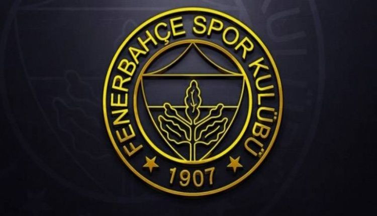 Fenerbahçe üç transferini duyurdu - Sayfa 6