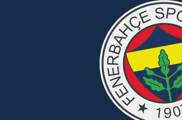 Fenerbahçe'nin Şampiyonlar Ligi kadrosu belli oldu - Sayfa 6