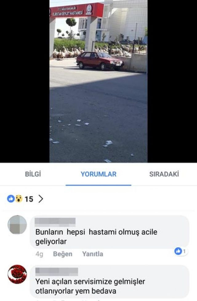 Kahramanmaraş'ta koyun sürüsü hastane bastı - Sayfa 4