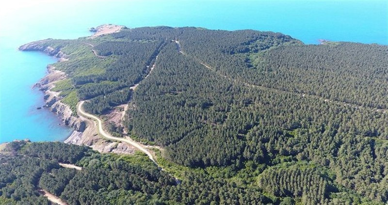 Sinop Belediye Başkanı'nın nükleer santral açıklaması gündem oldu