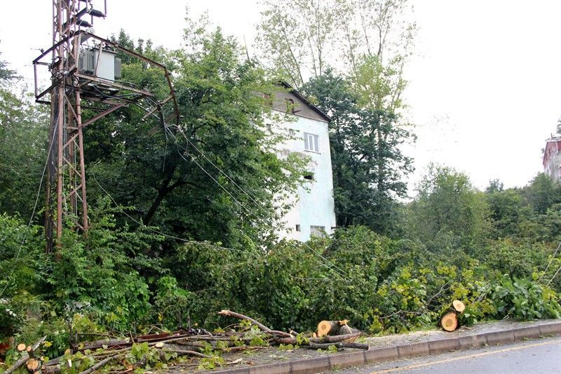 Ordu’daki işçiler o anları anlattı: Gece olsaydı hepimiz ölürdük - Sayfa 15