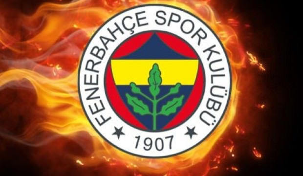 Fenerbahçe’nin yeni transferi futbola ara verdi - Sayfa 6