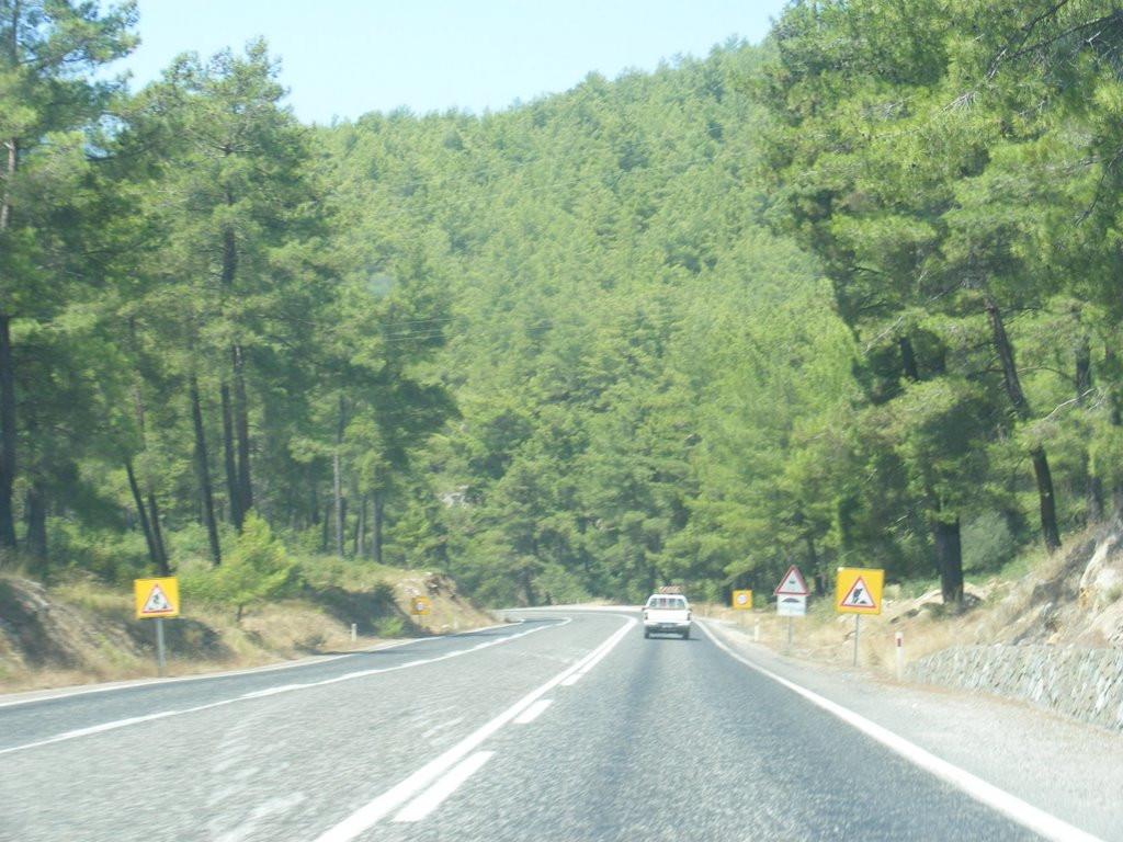 Sevdiklerinizle güzel zaman geçirebileceğiniz Muğla piknik alanları