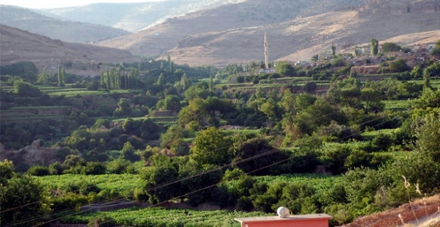 Sevdiklerinizle güzel zaman geçirebileceğiniz Mardin piknik alanları