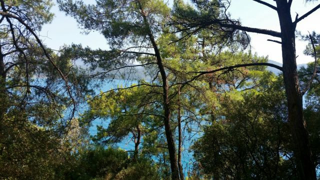 Sevdiklerinizle güzel zaman geçirebileceğiniz Muğla piknik alanları