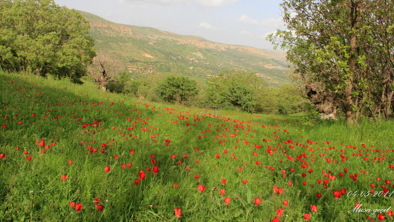 Sevdiklerinizle güzel zaman geçirebileceğiniz Mardin piknik alanları