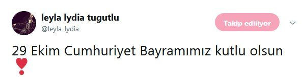 Ünlülerin Cumhuriyet Bayramı mesajları - Sayfa 19