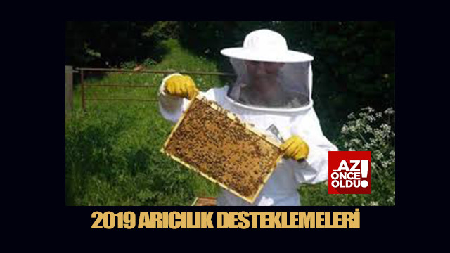 2019 Arılı kovan desteklemesi ne zaman ödenecek? Bombus arı desteklemesi ne kadar?