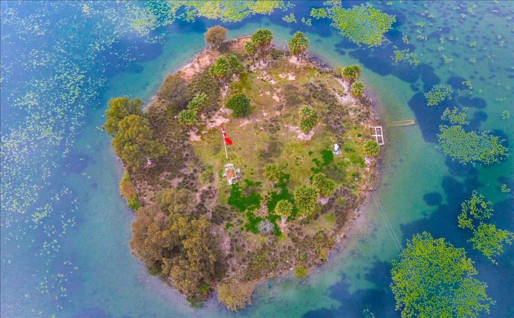 Anadolu Ajansı'ndan haftanın fotoğraf kareleri - Sayfa 2