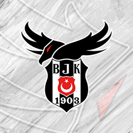 Beşiktaş Erkek Voleybol takımı neden kapanıyor? - Sayfa 2