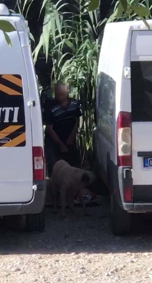 Köpeğe cinsel saldırıda bulunan zanlı yakalandı - Sayfa 4