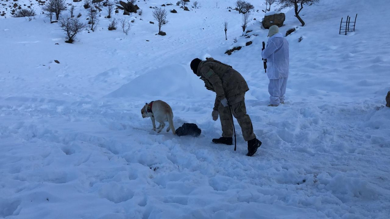 Gülistan ve Süryani çiftten hala haber yok - Sayfa 7