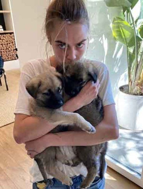 Cara Delevingne telefon numarasını paylaştı - Sayfa 6