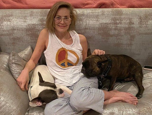 Sharon Stone fit vücuduyla dikkat çekti - Sayfa 1